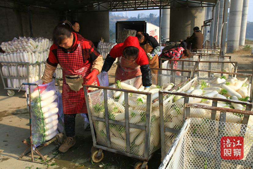 （一線看鄉村3_2.jpg